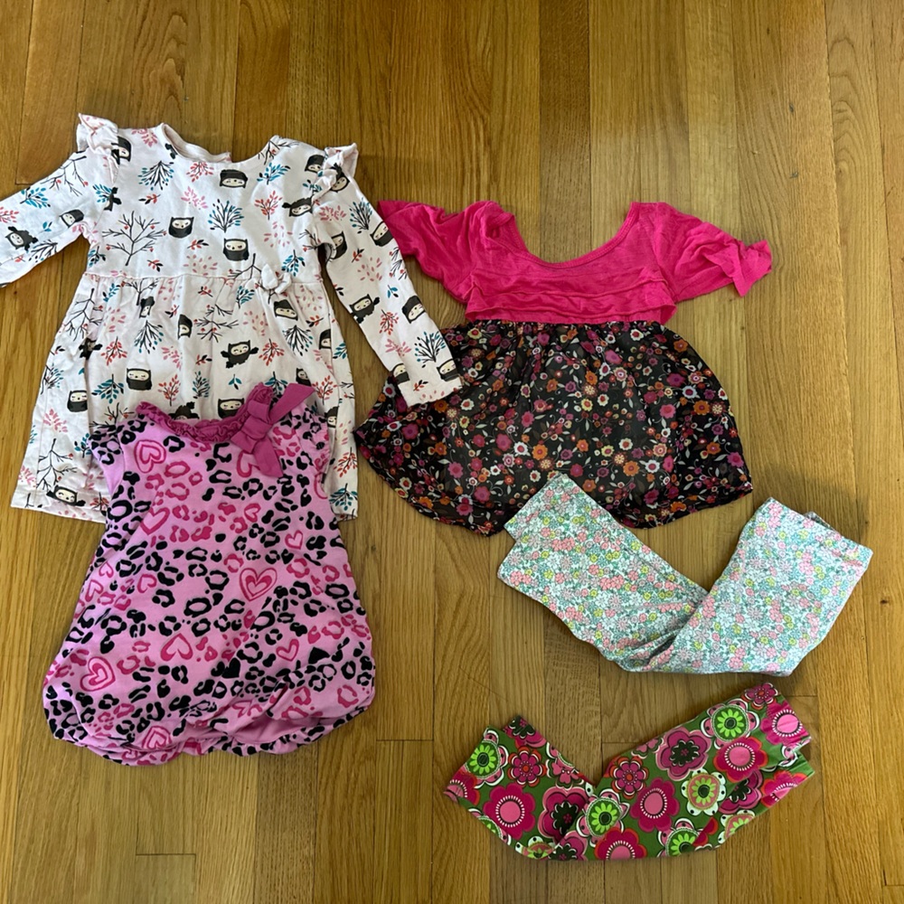 Baby girl 18 month bundle